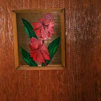 gal/Untitled (Project)/_thb_004HylaSkopitz.jpg